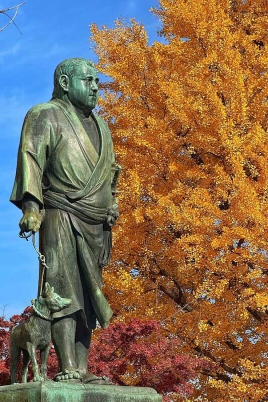 Kyoto Day Trip from Tokyo by Bullet Train Private Tour - The Sum Up