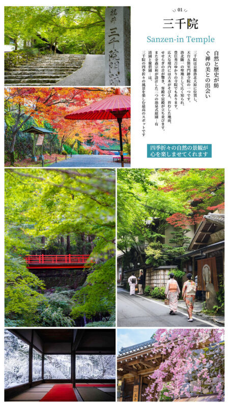 Kyoto Day Trip | Kifune Shrine & Arashiyama Bamboo Grove & Sanzen-in Temple | Stroll Through Kyoto | Guaranteed Departure for Groups of 4 (Departing from Osaka/Kyoto) - Sanzen-in: a quiet start in Ohara
