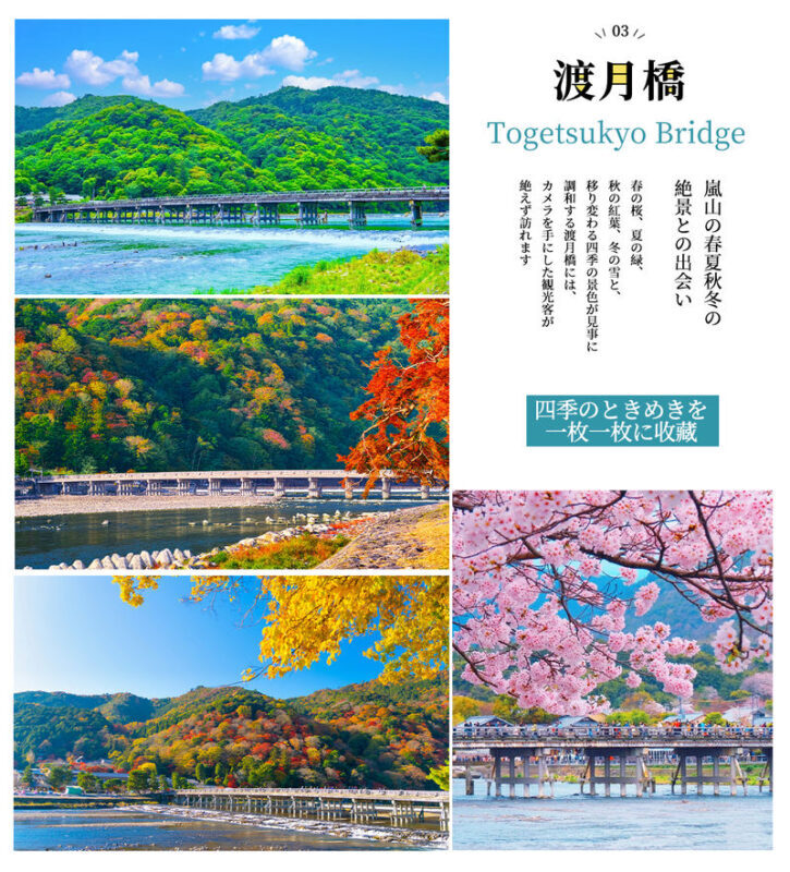 Kyoto Day Trip | Kifune Shrine & Arashiyama Bamboo Grove & Sanzen-in Temple | Stroll Through Kyoto | Guaranteed Departure for Groups of 4 (Departing from Osaka/Kyoto) - Arashiyama: bamboo, bridge, and a crowded finish