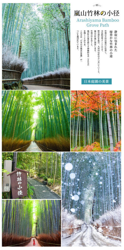 Kyoto Day Trip | Kifune Shrine & Arashiyama Bamboo Grove & Sanzen-in Temple | Stroll Through Kyoto | Guaranteed Departure for Groups of 4 (Departing from Osaka/Kyoto) - The price and the trade-off