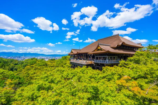 Kyoto Day Trip! Private Customizable Tour With Expert Guides - Conditions for Participation