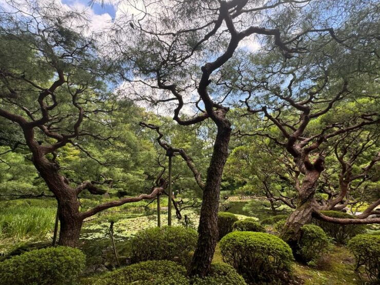 Kyoto: Discover Every Bit of Heian Jingu Shrine in 1 Hour - Pricing and Availability