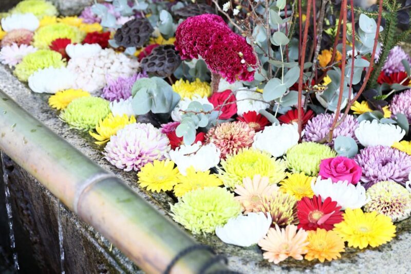 Kyoto: Discover the Oldest Geisha District, Kamishichiken - Who Should Consider This Tour?