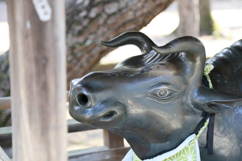 Kyoto: Discover the Oldest Geisha District, Kamishichiken - FAQs