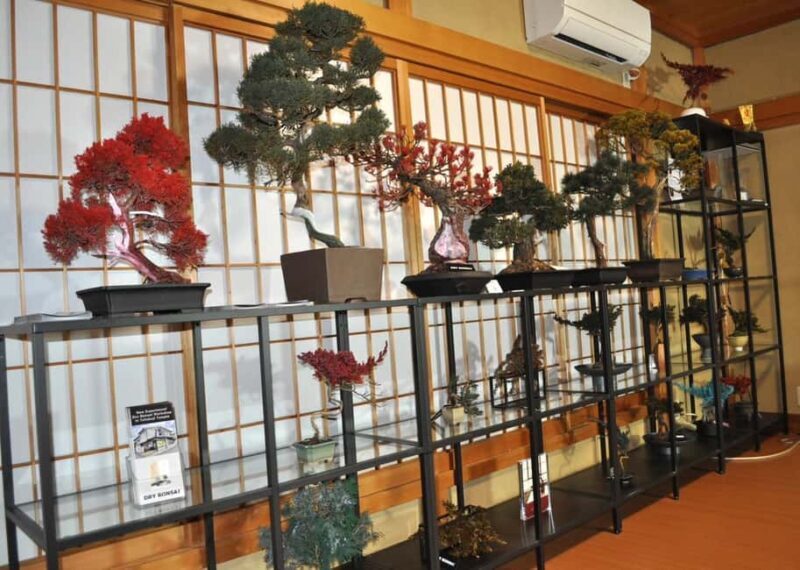 Kyoto: Dry Bonsai Making Workshop - Good To Know