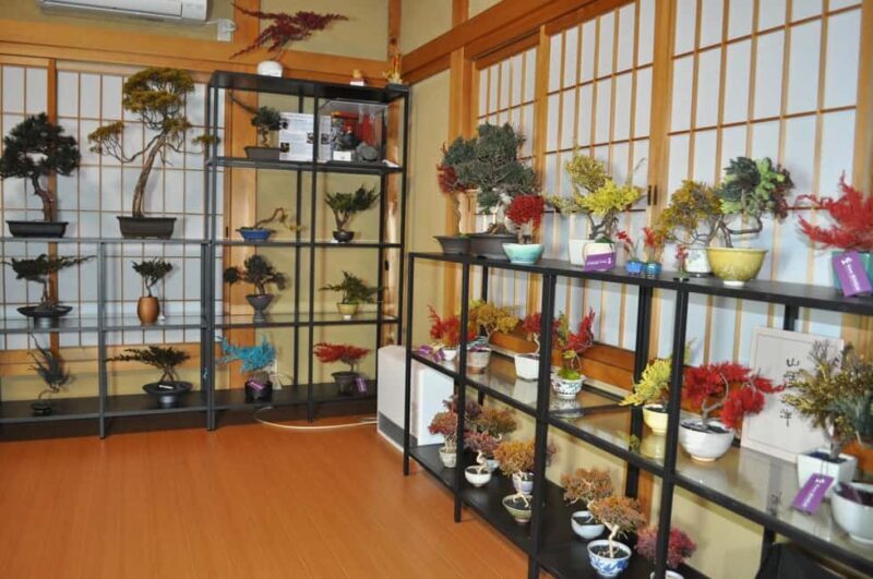 Kyoto: Dry Bonsai Making Workshop - The Unique Appeal of Dry Bonsai