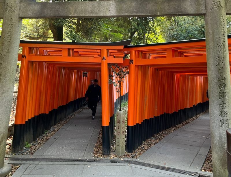 Kyoto E-Bike Tour of Hidden Gems and Temples South Route - Ben’s English and ability to adapt