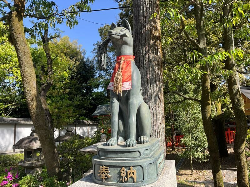 Kyoto E-Bike Tour of Hidden Gems and Temples South Route - Who should book this ride