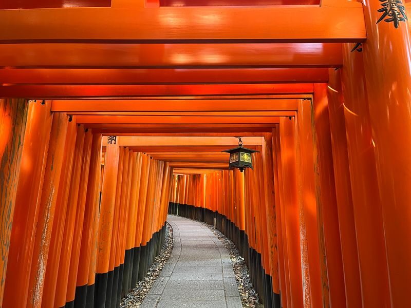 Kyoto E-Bike Tour of Hidden Gems and Temples South Route - Booking details worth checking