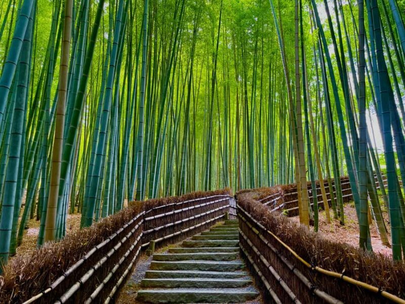 Kyoto Early Bird English Tour: Fushimi-Inari and Arashiyama - Good To Know