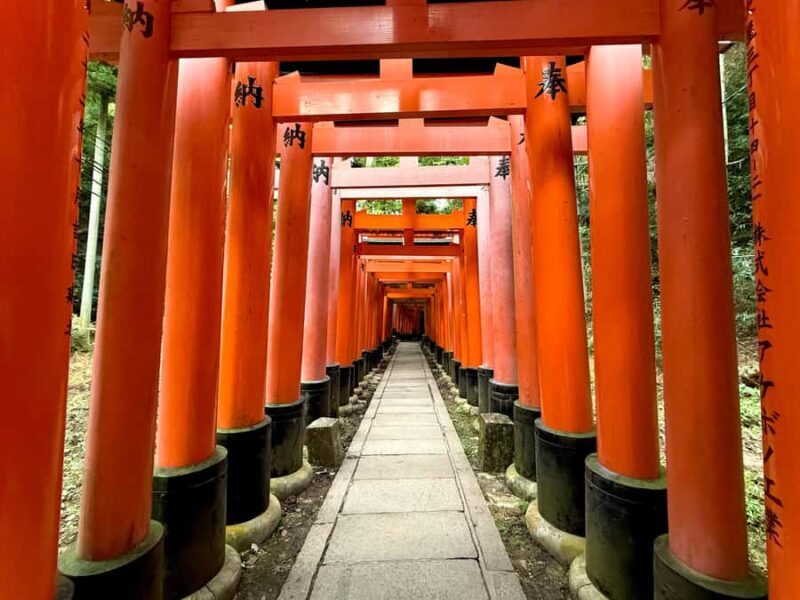 Kyoto Early Bird English Tour: Fushimi-Inari and Arashiyama - Who Would Love This Tour?