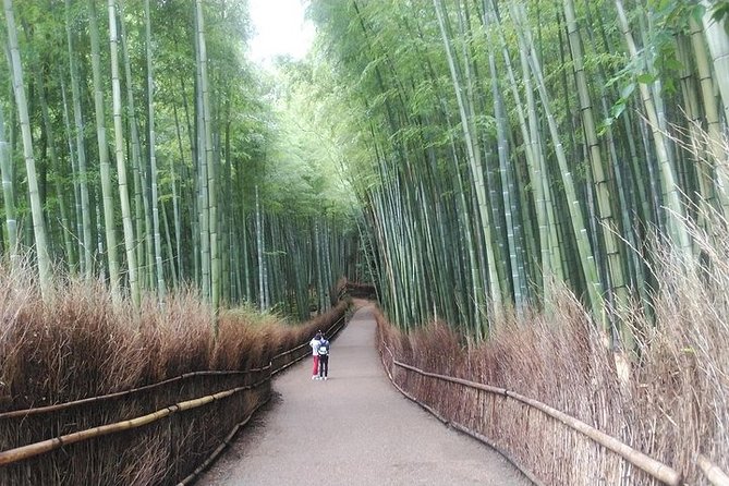 Kyoto Early Bird Feat. Matcha Town Tour - Hosts Response and Appreciation