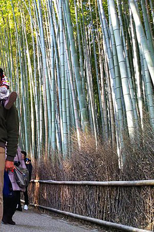 Kyoto Early Bird Tour with Uber - Final Thoughts