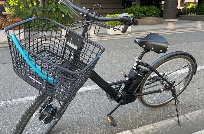 Kyoto Early Morning E Biking Tour Fushimi Inari Kiyomizu Temple - Insights from Reviewers: Authentic Experiences