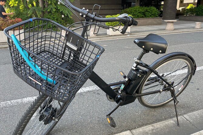 Kyoto Early Morning E Biking Tour Fushimi Inari Kiyomizu Temple - Pricing and Value: Does It Match?