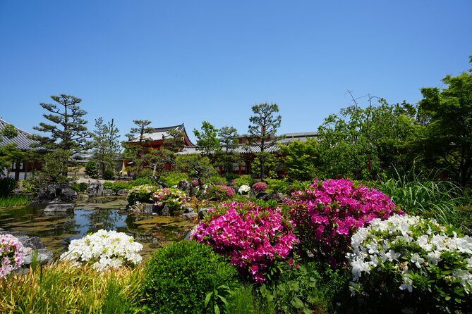 Kyoto Early Morning E Biking Tour Fushimi Inari Kiyomizu Temple - The Practicalities