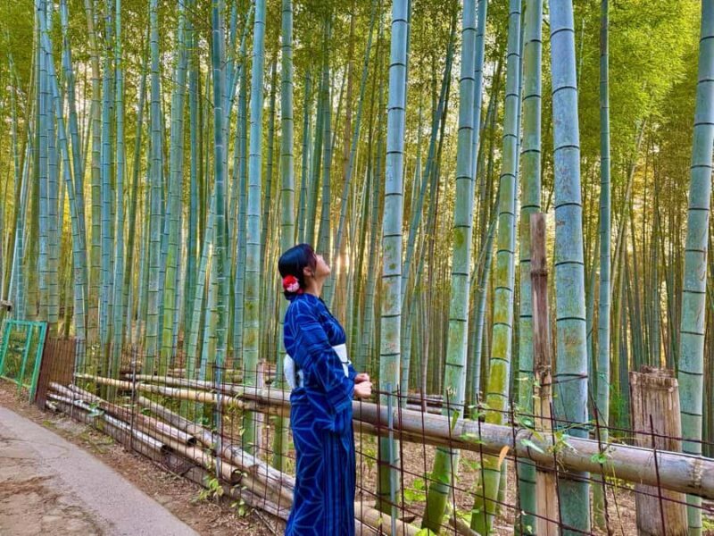 Kyoto Early Morning English Tour: Fushimi Inari & Gion - The Value of This Experience