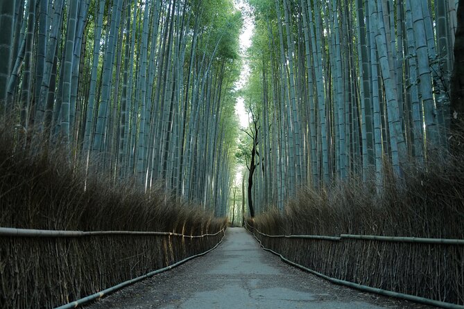 Kyoto Early Morning Tour With English Speaking Guide - Inclusions