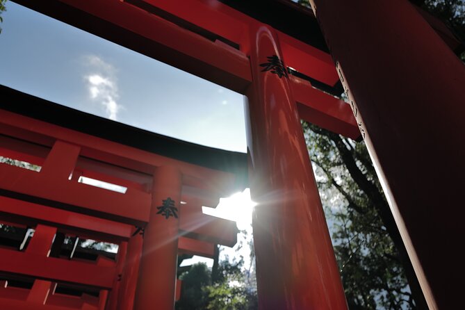 Kyoto Early Morning Tour With English Speaking Guide - Tips for a Successful Tour