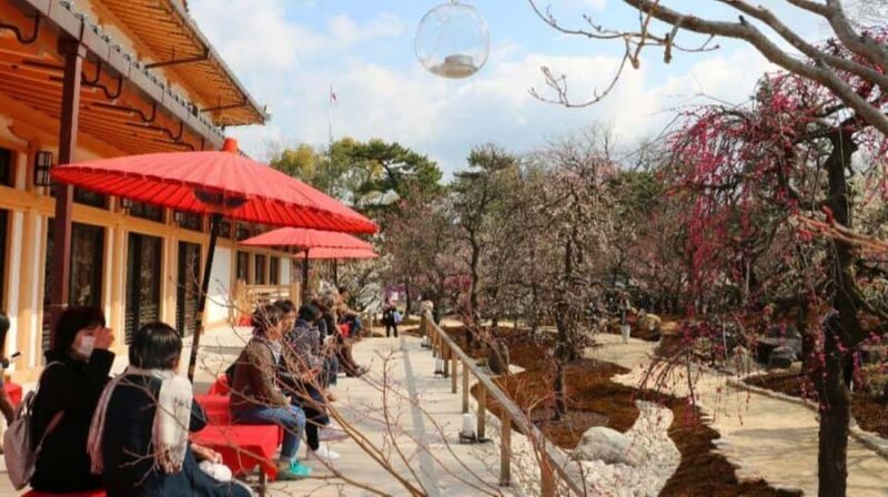 Kyoto: Early Spring Plum Blossom Walk at Kitano Tenmangu - FAQs