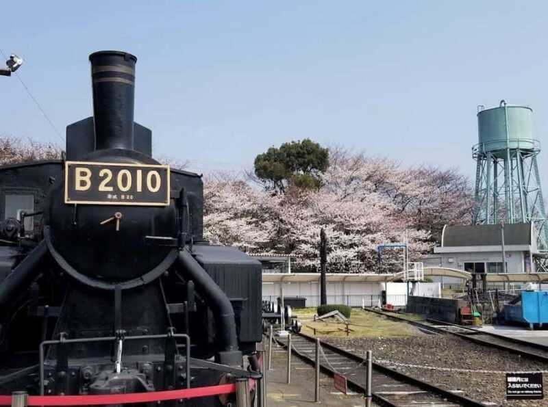 Kyoto: Enjoy "Hanami" Cherry Blossom Experience with Snacks - What to Expect on the Day