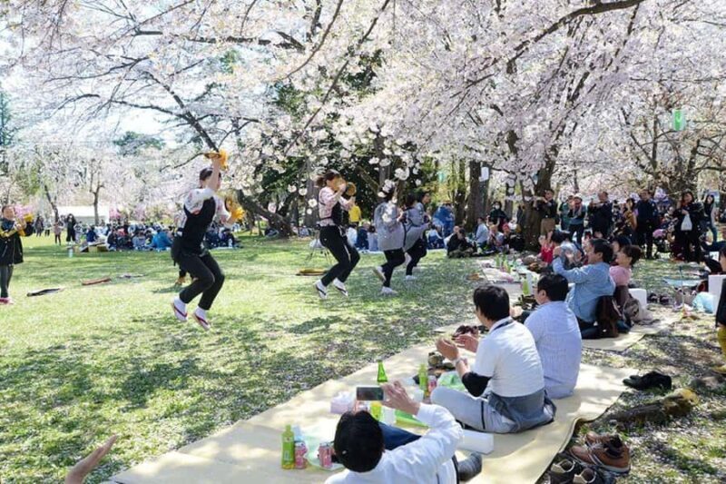 Kyoto: Enjoy "Hanami" Cherry Blossom Experience with Snacks - Authenticity & Local Connection