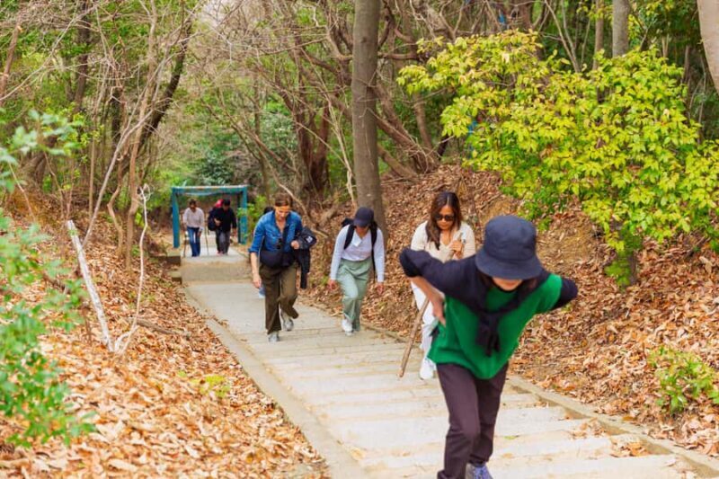Kyoto: Espresso, Mini Hike & Zen Silver Temple Guided Tour - Final Thoughts: Is It Worth It?