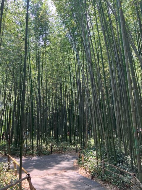 Kyoto: Essential Tour with Fushimi Inari & Bamboo Grove - An In-Depth Look at the Tour Experience