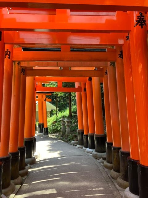 Kyoto: Essential Tour with Fushimi Inari & Bamboo Grove - Final Thoughts