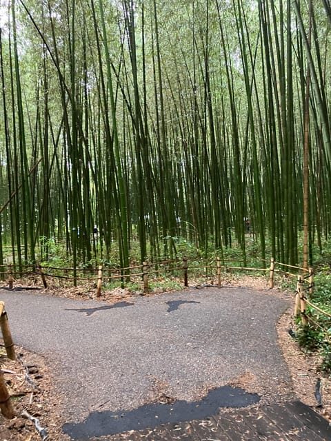 Kyoto: Essential Tour with Fushimi Inari & Bamboo Grove - FAQ