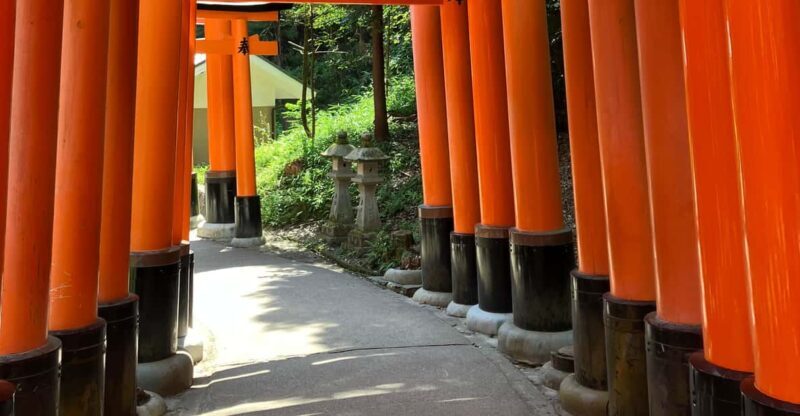 Kyoto: Essential Tour with Fushimi Inari & Bamboo Grove - What to Expect from This Kyoto Tour