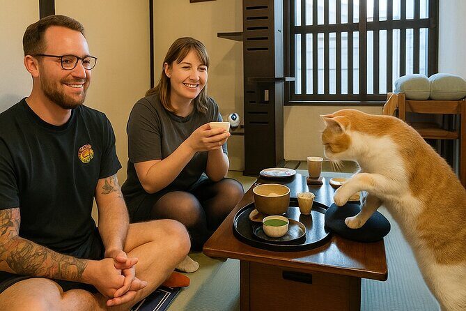 Kyoto: Ethical Cat Sanctuary & Traditional Tea Ceremony - Detailed Review of the Kyoto Ethical Cat Sanctuary & Tea Ceremony