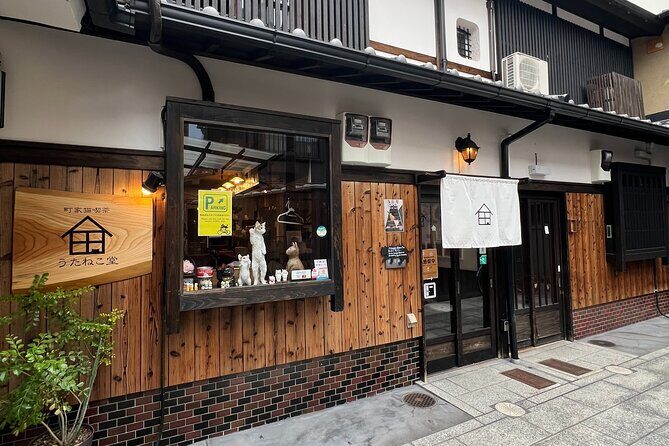 Kyoto: Ethical Cat Sanctuary & Traditional Tea Ceremony - The Sum Up