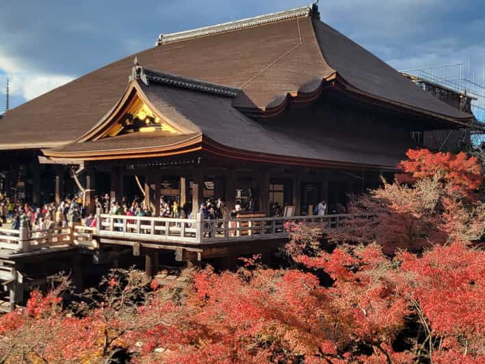 Kyoto Experience With a Local Certified Guide - Highlights of the Experience
