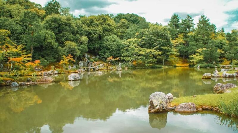 Kyoto: Explore Arashiyama - Monkeys, Temples & Bamboo Trail - The Sum Up