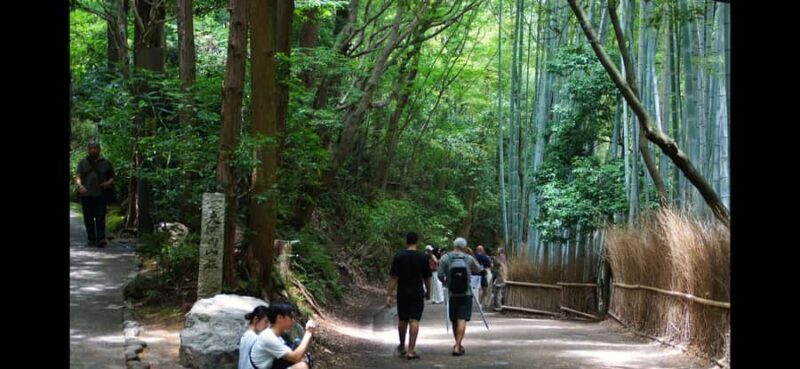 Kyoto: Explore Arashiyama - Monkeys, Temples & Bamboo Trail - FAQ
