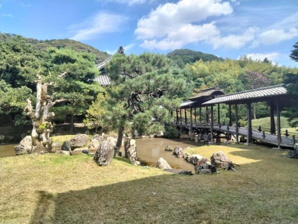 Kyoto: Explore Kodaiji Temple Surrounded by Quaint Gardens - Tips for Visitors