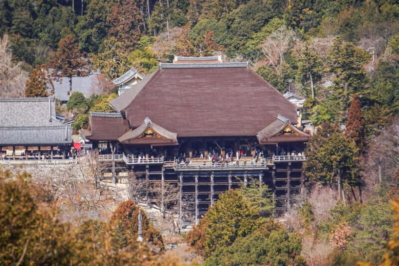 Kyoto from Above: Hike Mt. Amida with Kiyomizu Views - Who Will Love This Tour?