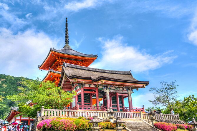 Kyoto Full Day (8 Hours) Sightseeing Privatetour - Cancellation Policy