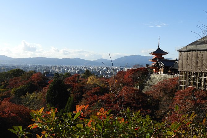 Kyoto Full Day (8 Hours) Sightseeing Privatetour - Common Questions