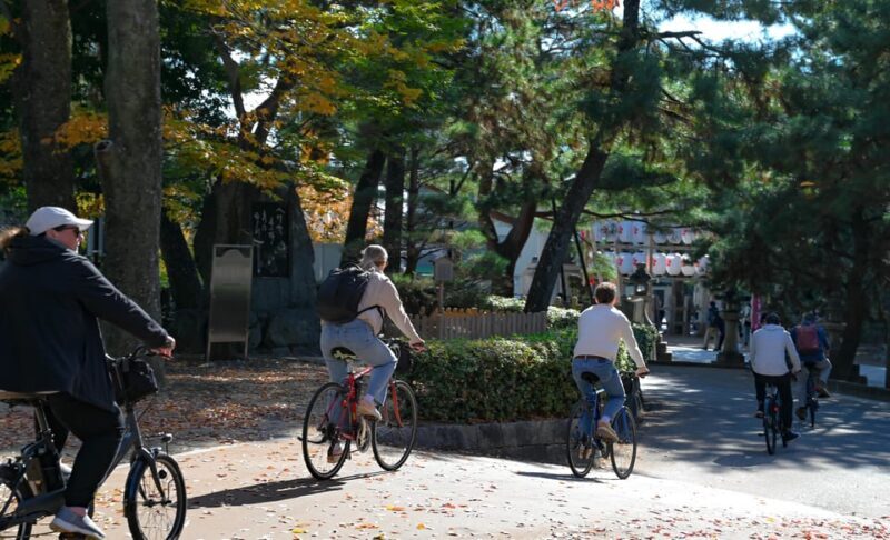 Kyoto: Full Day Bike Tour - Who Should Consider This Tour?