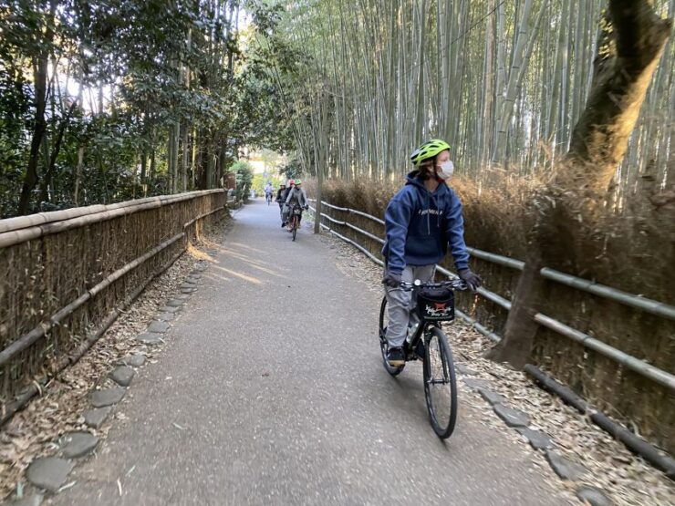 Kyoto: Full-Day City Highlights Bike Tour With Light Lunch - Activity Details and Options