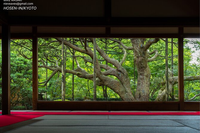 Kyoto Full-Day Excursion From Kobe (Osaka) Port - What To Expect