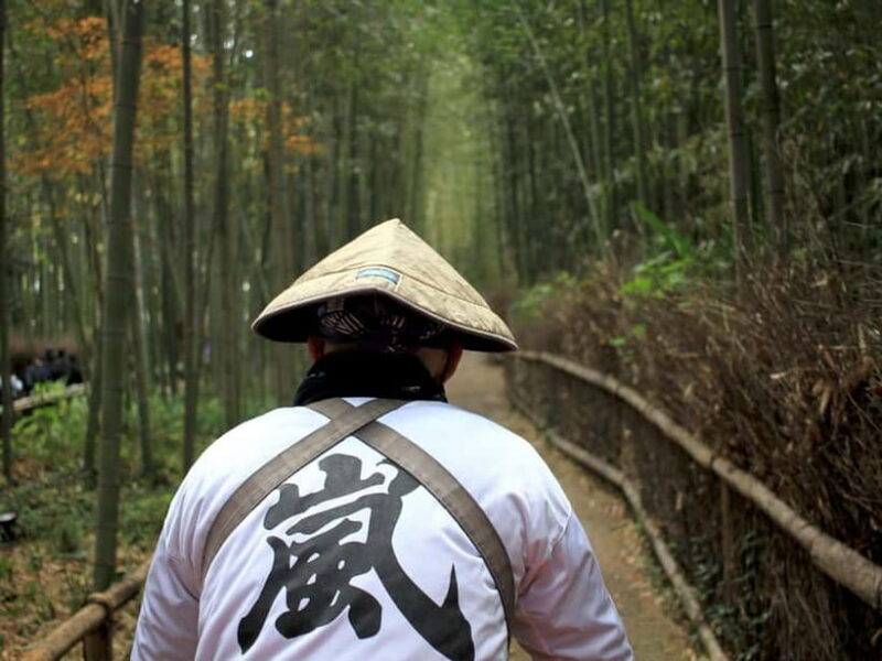 Kyoto: Full-Day Guided Tour of Kyoto's Top Highlights - The Practical Side: Timing, Group Size, and Comfort