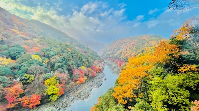 Kyoto: Full-Day Highlight Guided Tour with Expert Tour Guide - Who Will Love This Tour?