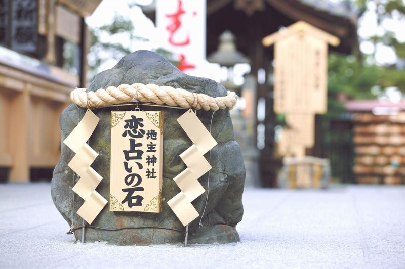 Kyoto Full-Day Private Charter Tour - What the driver-guide adds