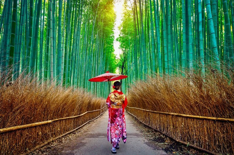 Kyoto Full-Day Private City Highlights Tour - Kyoto’s private tour, at a glance