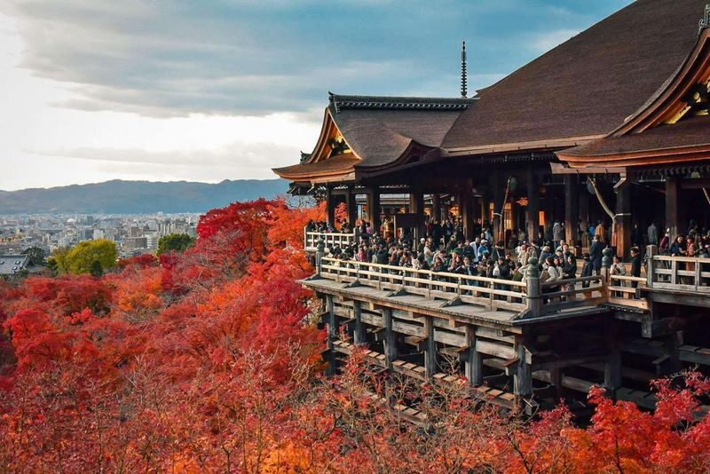 Kyoto Full-Day Private City Highlights Tour - An eight-hour day, without the group pace