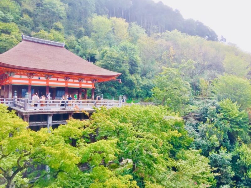 Kyoto: Full-Day Private Guided Tour of Temples and Shrines - Final Thoughts