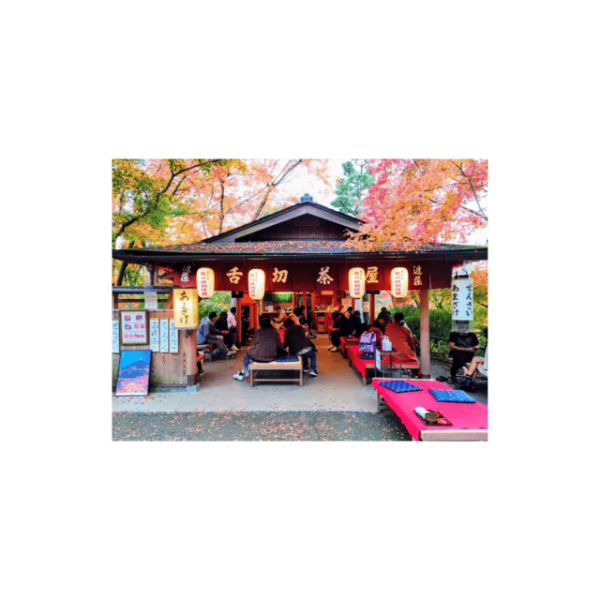 Kyoto: Full Day UNESCO And Historical Sites Private Car Tour - Additional Costs and Restrictions